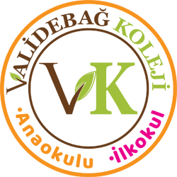 Özel Validebağ Koleji Anaokulu - İlkokul